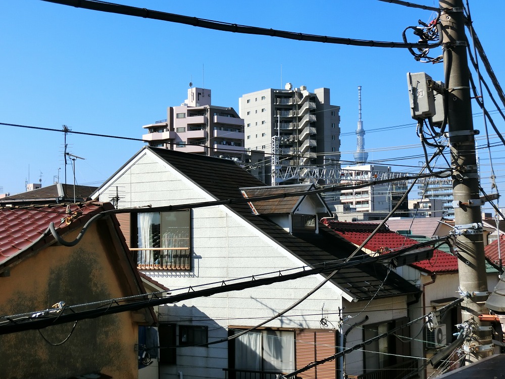 部屋からの眺望 部屋からの眺望